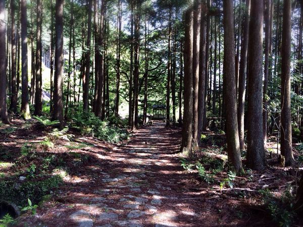 熊野古道@八鬼山越えコース_e0292546_22123846.jpg