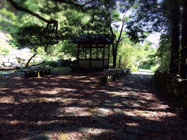 熊野古道@八鬼山越えコース_e0292546_22123933.jpg