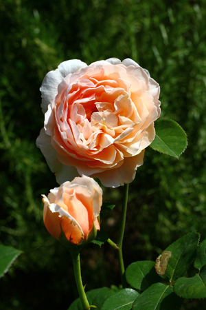 a0187356_09531799.jpg