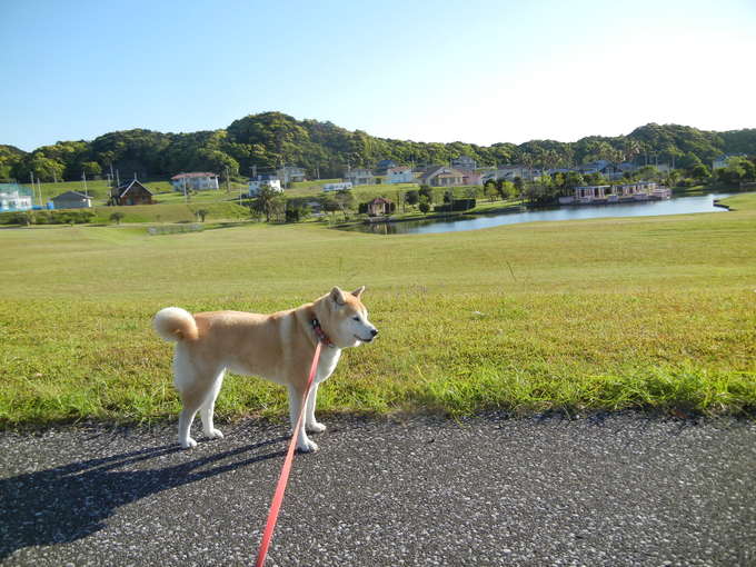 ’14,5,18(日)母との永遠のお別れ!_f0060461_1054492.jpg
