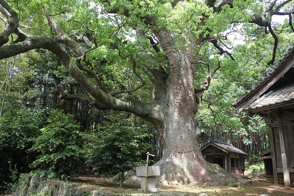 福津暮らしの旅　　五感で楽しむ箸づくり_a0158570_10434.jpg