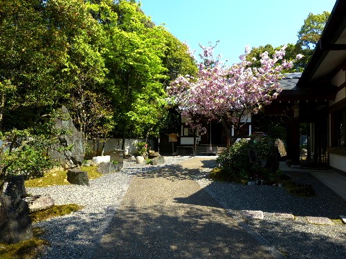 春の京都ひとり旅（十三）　泉涌寺・楊貴妃観音堂_d0084473_2122528.jpg