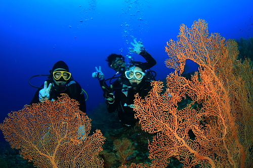 d0114375_011228.jpg
