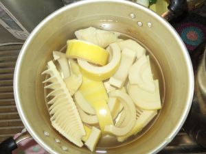育ちすぎた筍 一味違った食材に ゆうちゃん所長のひとりごと 育ちすぎた筍 一味違った食材に ゆうちゃん所長のひとりごと