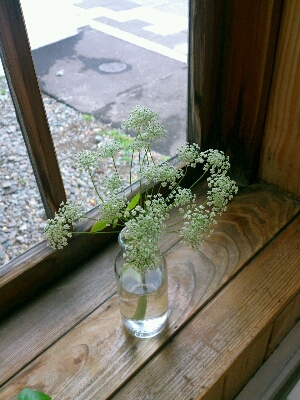 c0300778_15342327.jpg