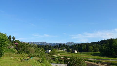 新緑の季節_d0182179_19443131.jpg