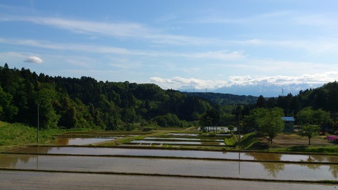 新緑の季節_d0182179_19512982.jpg