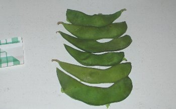 f0003283_08241901.jpg