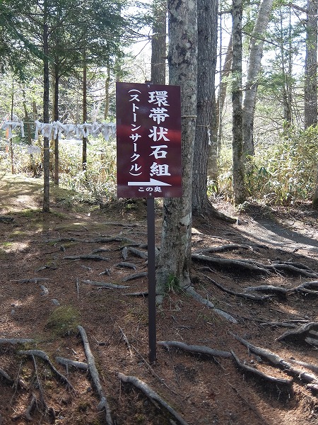 f0328483_9902.jpg
