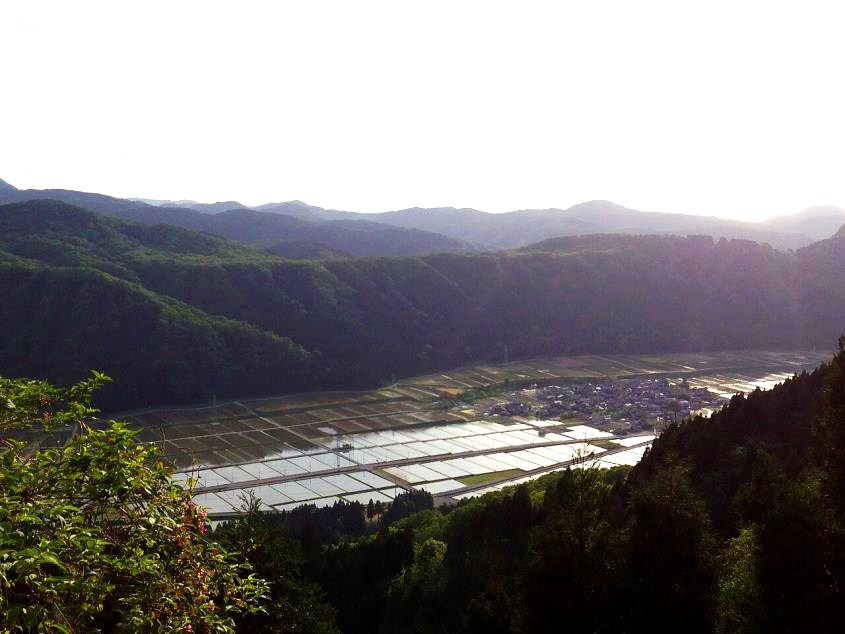 d0182188_2322234.jpg