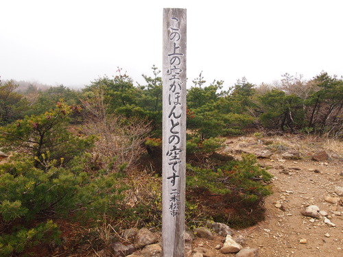 d0147789_8411986.jpg