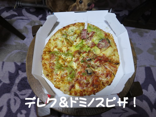 頼むから仕事をさせてくれ！_b0200291_20485018.jpg