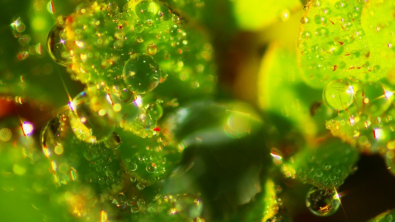 d0179594_1495525.jpg