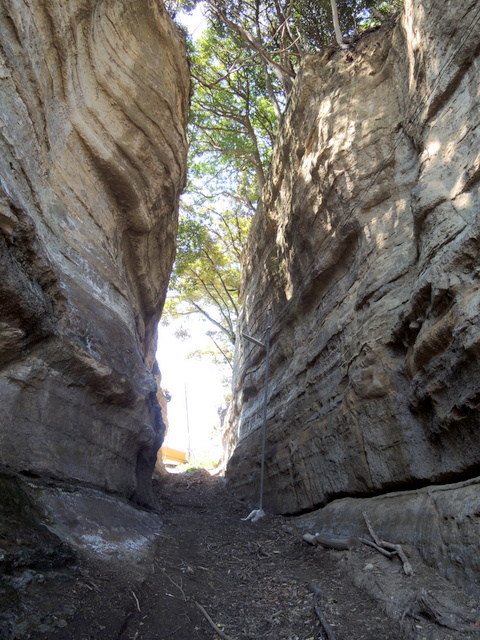f0326399_15262519.jpg