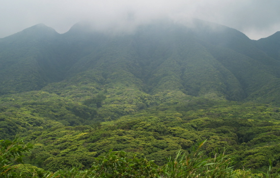 うわ～、ひさしぶりの島風景_e0089001_22291111.jpg