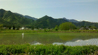 松川村の５月の風景_c0289116_19474076.jpg