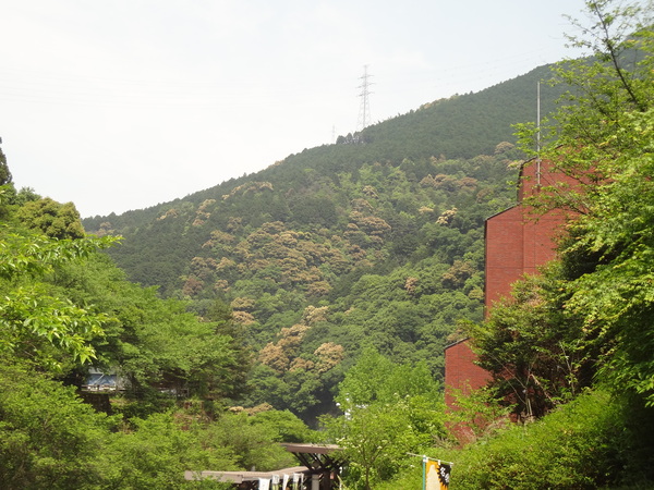 目に青葉 山ホトトギス 初鰹 ゆっくりゆったり