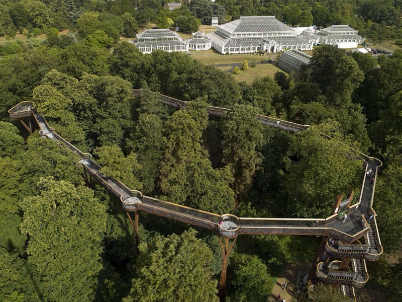 Tree top walkway_c0128818_17341212.jpg