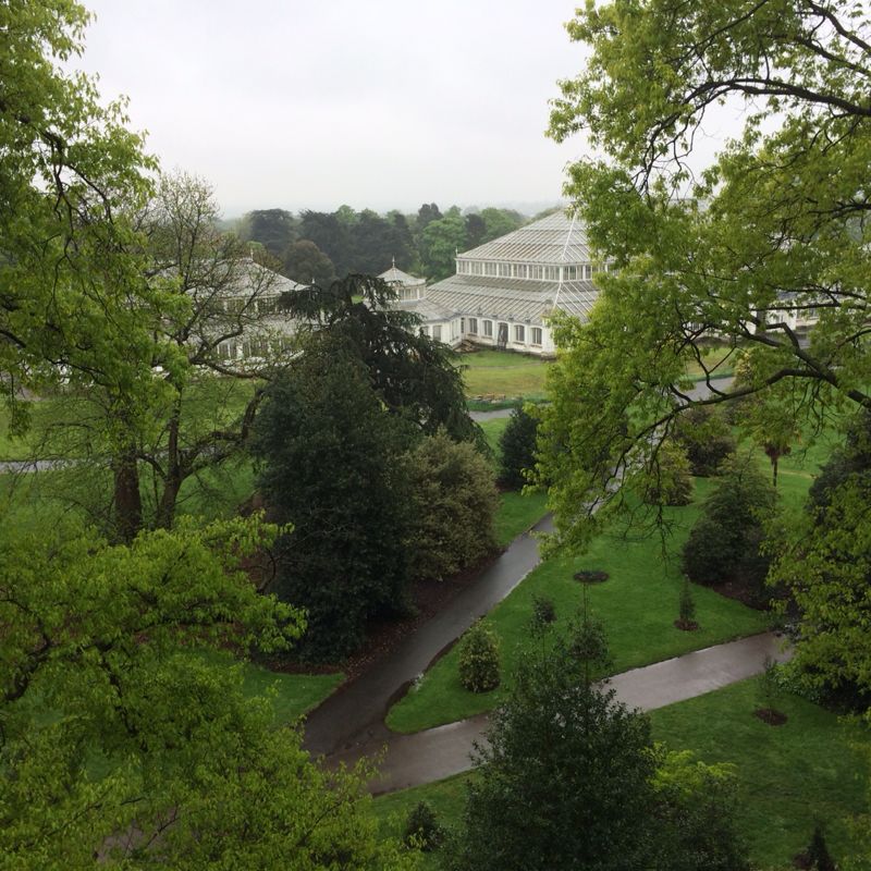 Tree top walkway_c0128818_1734132.jpg