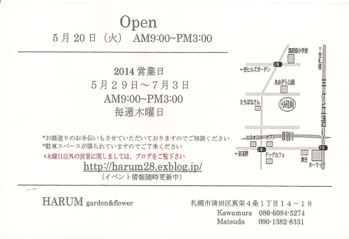 HARUMさん、明日openです～！！！！_d0190719_15522578.png