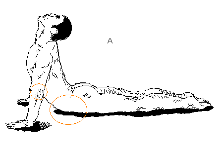 背骨チェック その1 これが本当の健康チェック 関節可動域テストで自分の体を知る 12 1 長野市の整体 ヨガ 筋トレの究極の整体屋アートセラピーハウス傅 俺は整体使だ