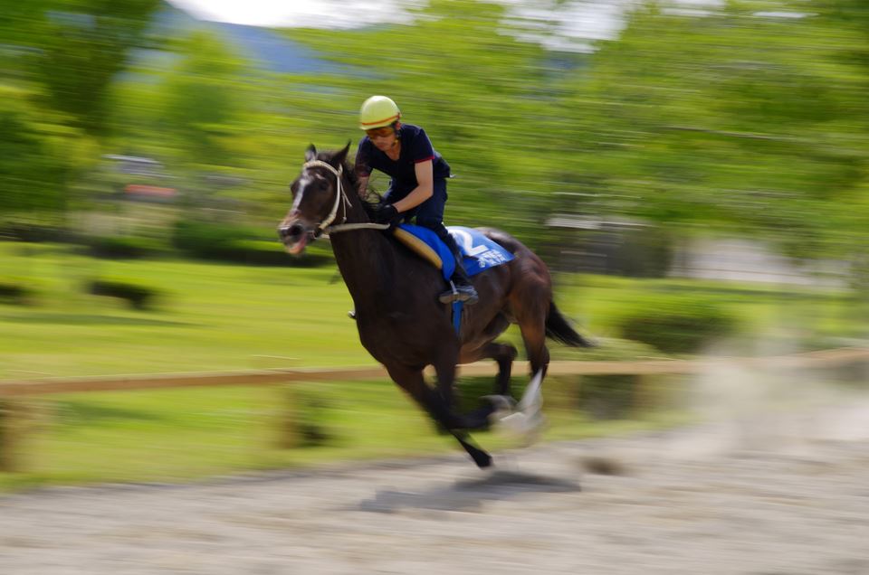 いなべの草競馬。_f0222919_15311786.jpg