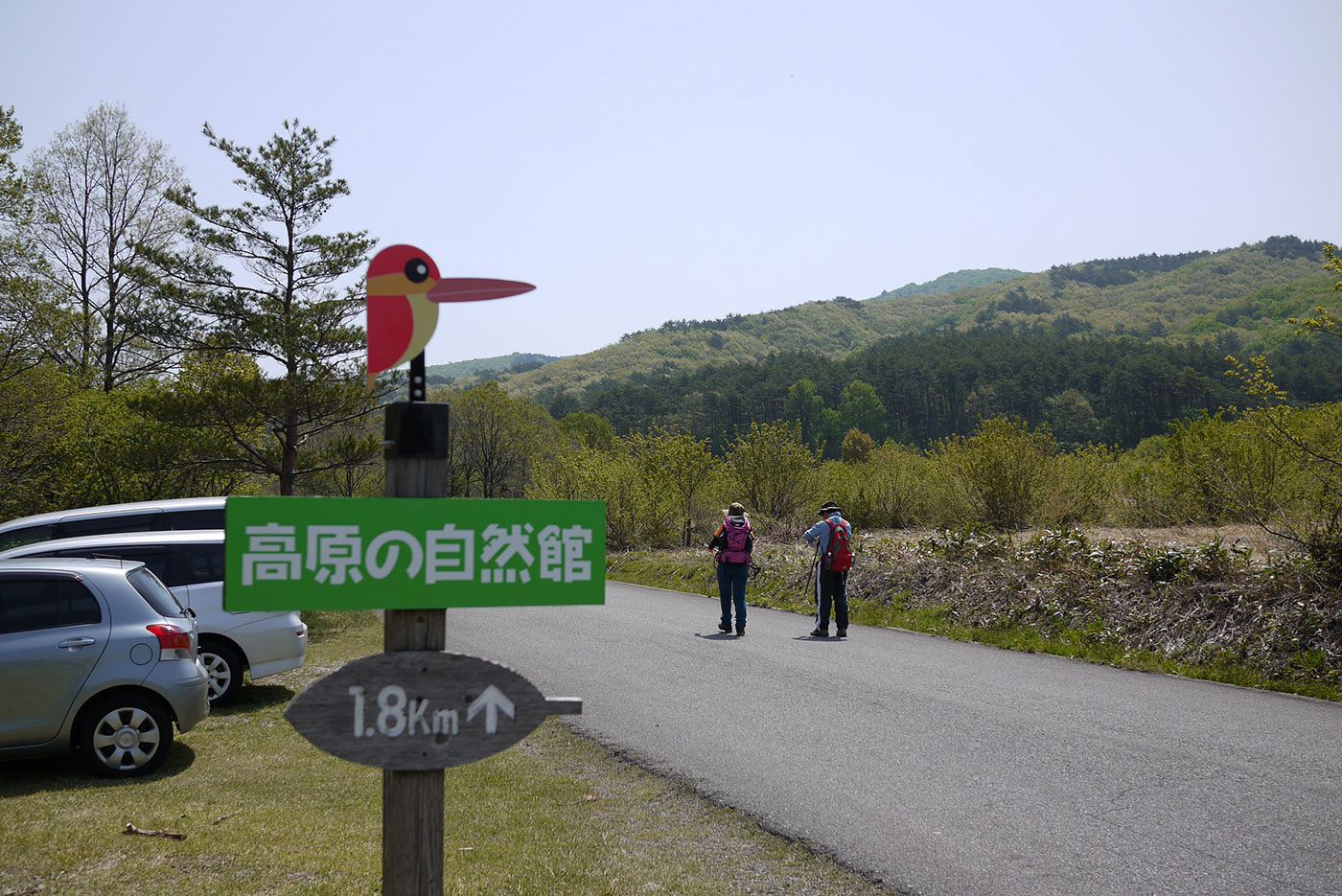 新緑が美しい「臥竜山」_c0064025_17175170.jpg