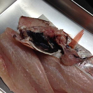 魚メインの日々。_b0199526_12173449.jpg
