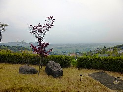 d0086228_14341570.jpg