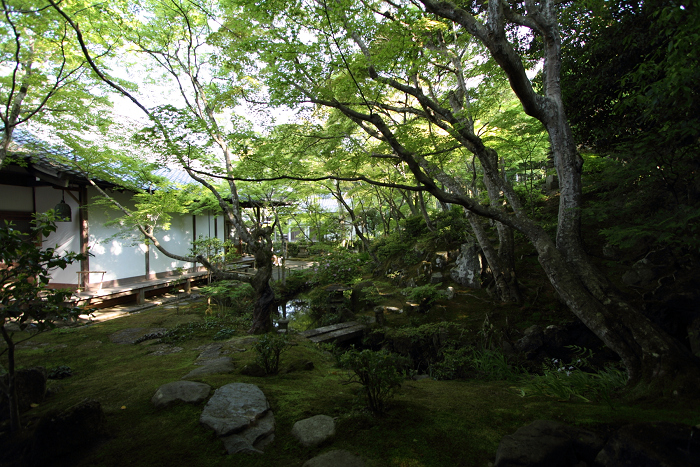 新緑の嵯峨野巡り －常寂光寺 本堂・書院（後編）－_b0169330_22532223.jpg