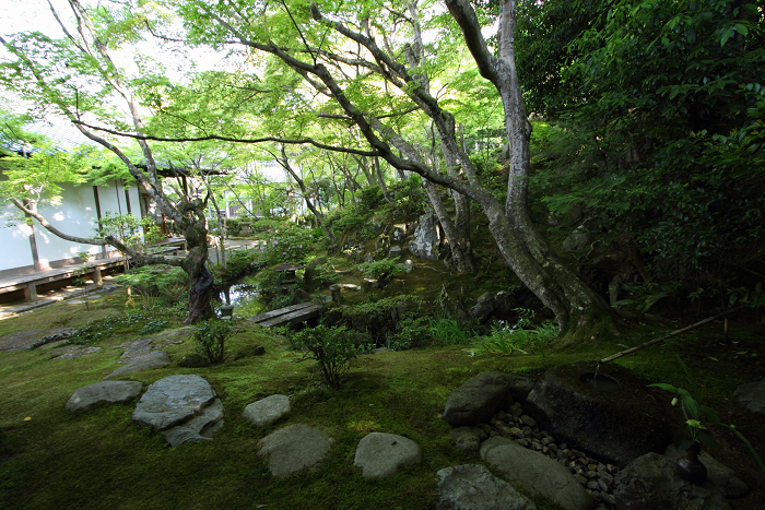 新緑の嵯峨野巡り －常寂光寺 本堂・書院（後編）－_b0169330_22533138.jpg