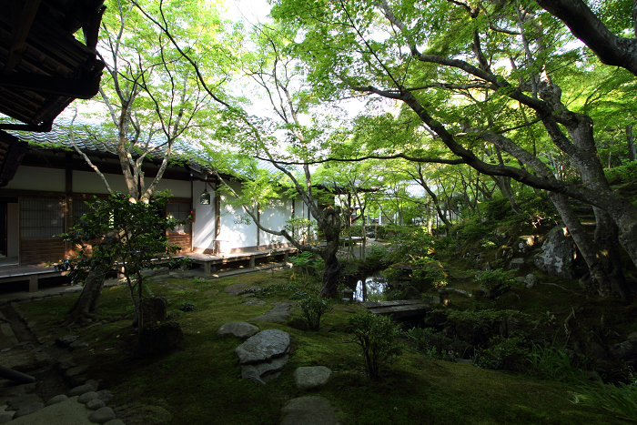 新緑の嵯峨野巡り －常寂光寺 本堂・書院（後編）－_b0169330_2254252.jpg