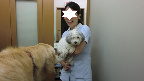 検診と献血_c0236632_8263158.jpg