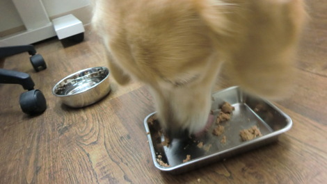 検診と献血_c0236632_8321244.jpg