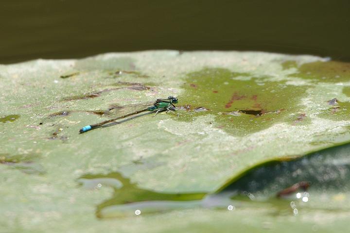 b0191934_2318117.jpg