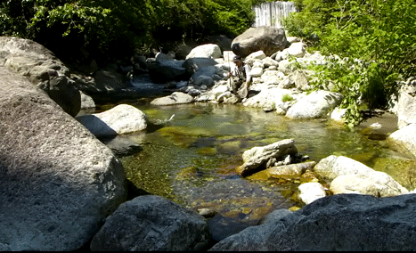 a0056140_031958.gif