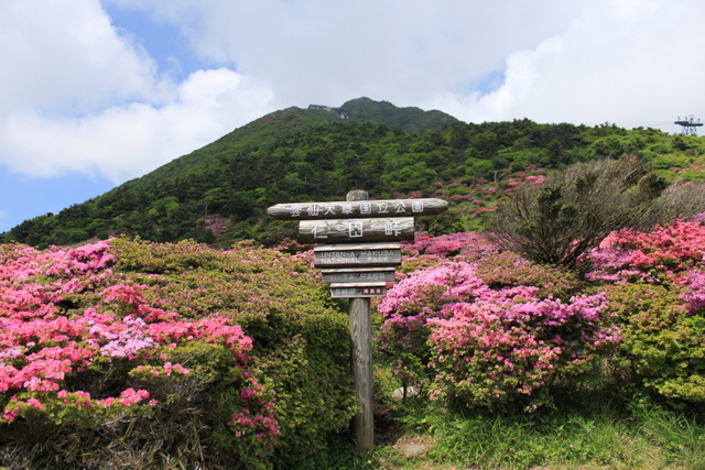 ツツジ咲く雲仙岳へ_e0206944_22283424.jpg