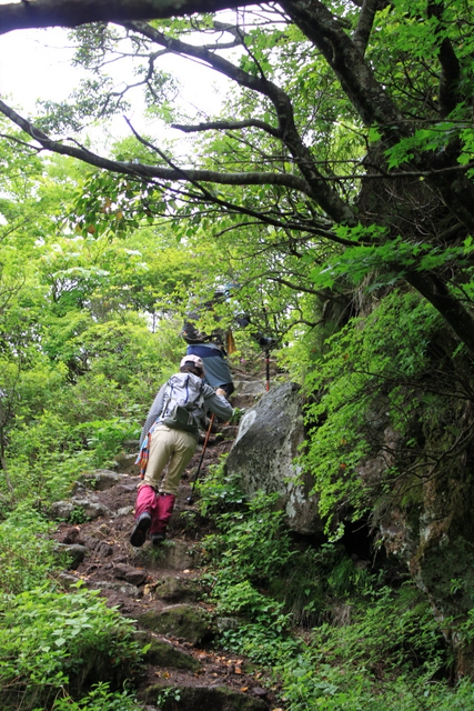 ツツジ咲く雲仙岳へ_e0206944_2243649.jpg