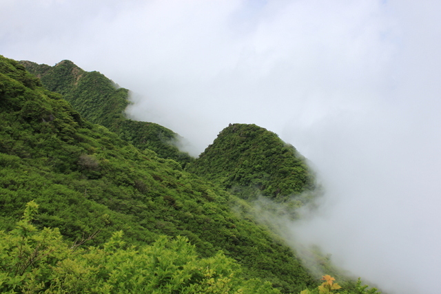 ツツジ咲く雲仙岳へ_e0206944_228221.jpg