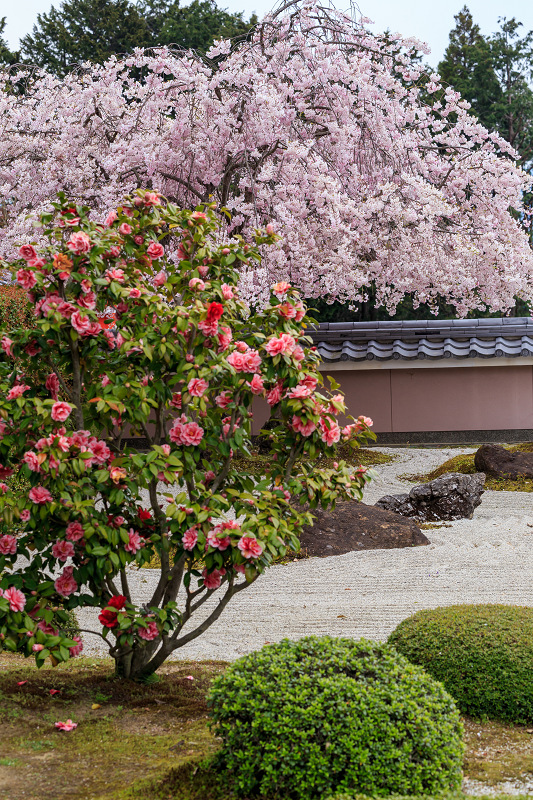 正法寺・季節の移ろい_f0155048_011272.jpg