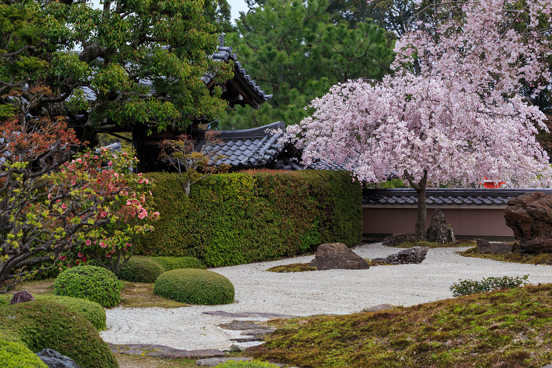 正法寺・季節の移ろい_f0155048_0151100.jpg