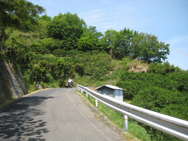 しまなみ海道原付2種ツーリング！（大三島〜因島編）_a0237349_16145925.jpg