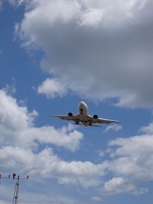 e0140354_1483291.jpg