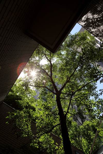 c0272958_23335783.jpg