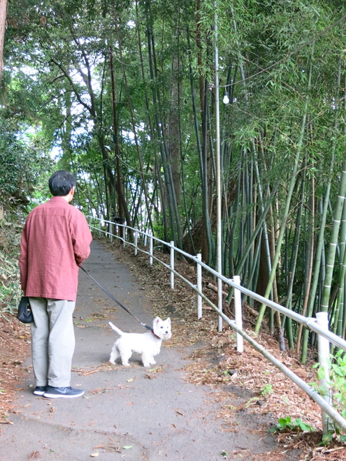 休日散歩「穴蔵神社」_c0260460_812569.jpg