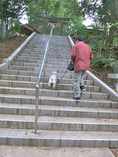休日散歩「穴蔵神社」_c0260460_8132637.jpg