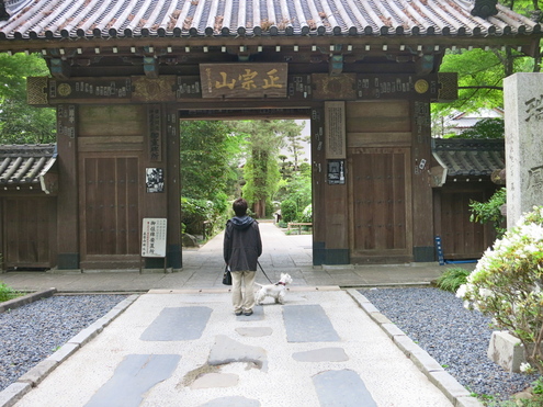 休日散歩「穴蔵神社」_c0260460_8204078.jpg