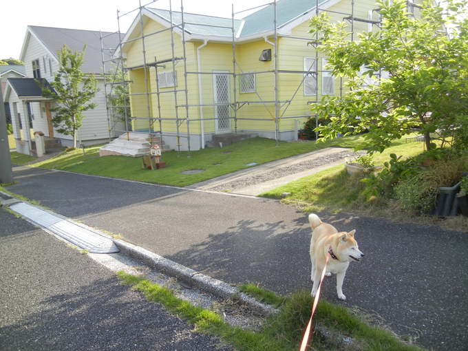 14,5,19(月)母との写真を見ています!_f0060461_10491335.jpg