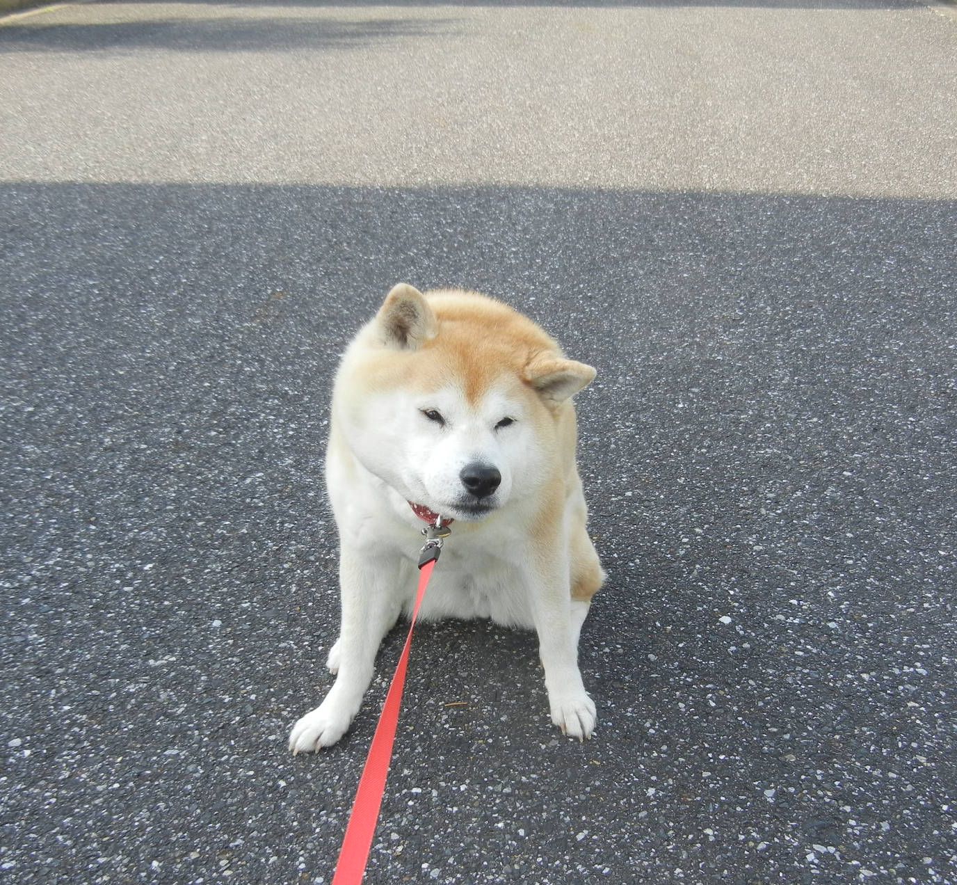 14,5,19(月)母との写真を見ています!_f0060461_1112447.jpg