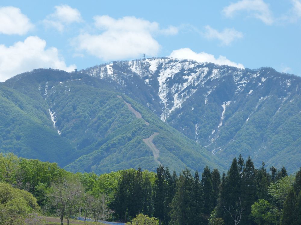 新緑と雪の白・飯山_e0081066_4134485.jpg